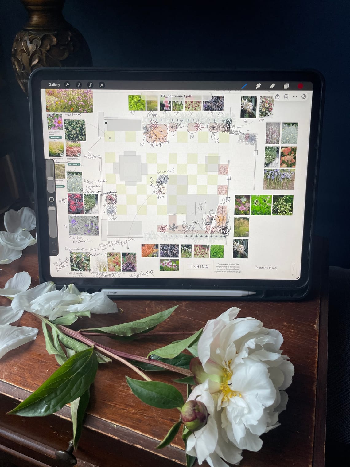Initial On-Site Gardening Consultation