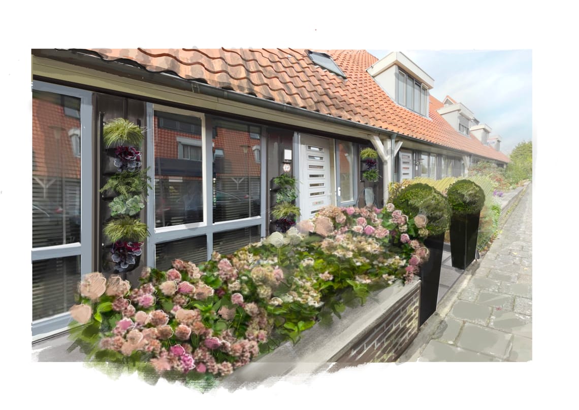 Transforming a Small Space into a Green Haven