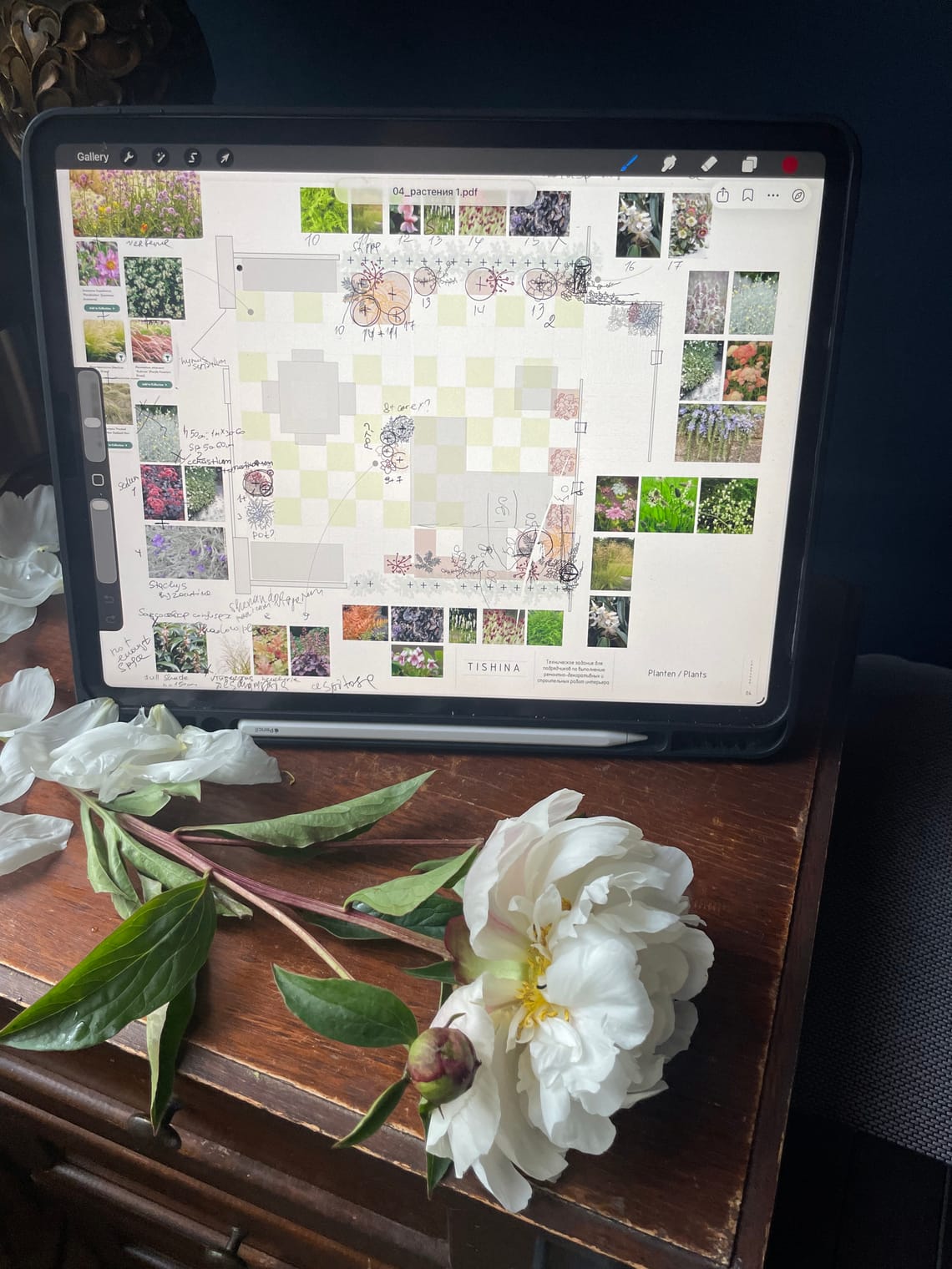 Eerste tuinadviesgesprek ter plaatse